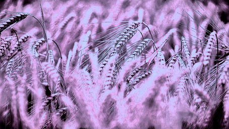 We are quiet when / Calendar year